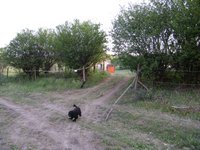 Vacak Paci lovas tanya fot 1 : Lovagls, tereplovagls - Sajszentpter ( Borsod-Abaj-Zempln megye ) : Miskolc - 12 km, Kazincbarcika - 12 km